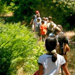 IMG_0588