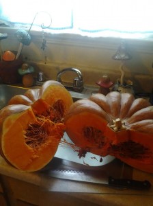 Split Pumpkin