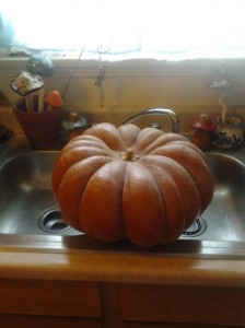 Whole Pumpkin