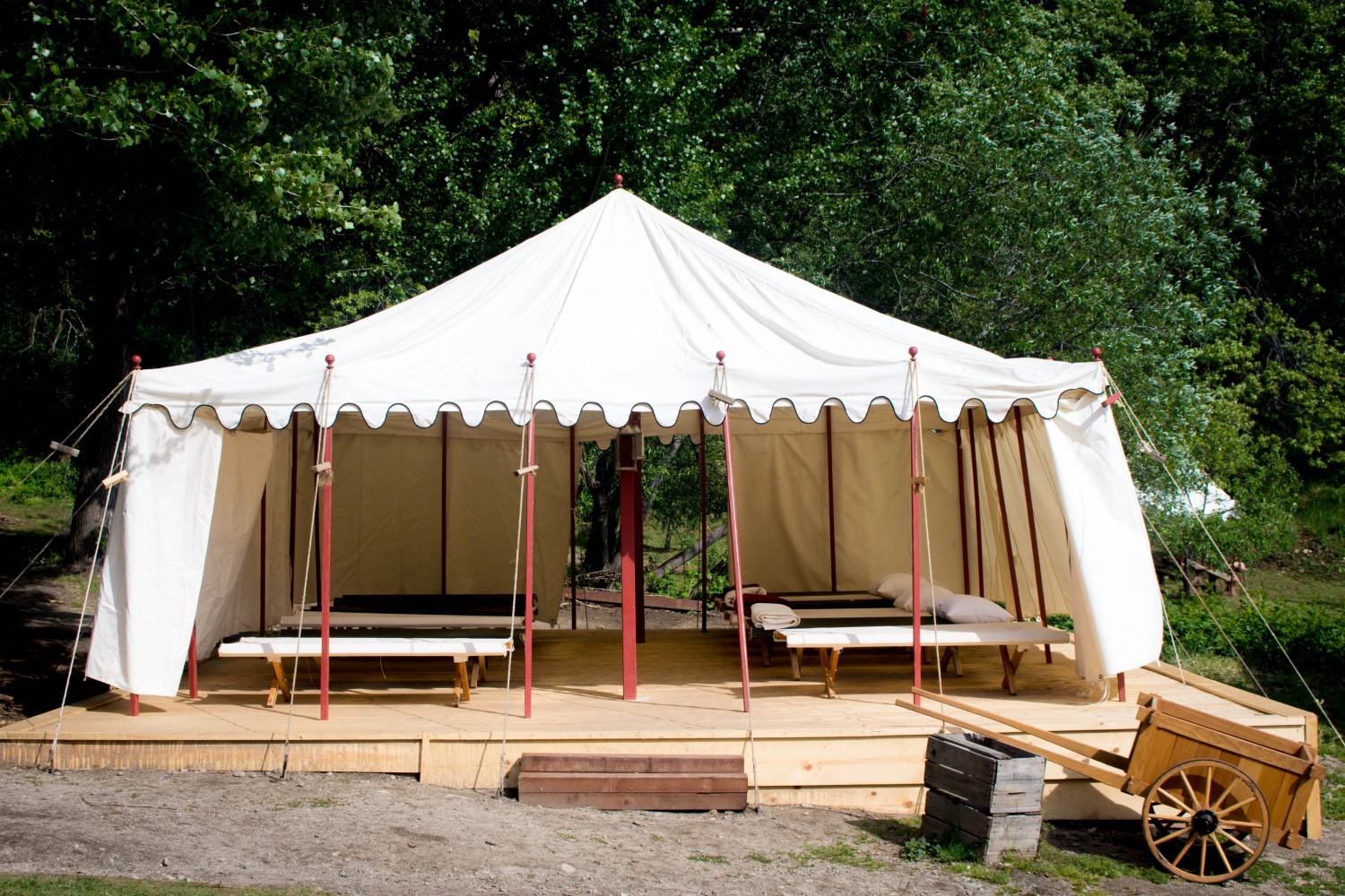 IMG_8207 Riley's Farm Riley's Farm