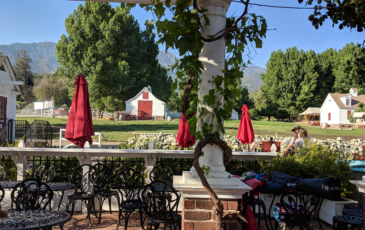 Today on the Farm - Riley's Farm : Riley's Farm
