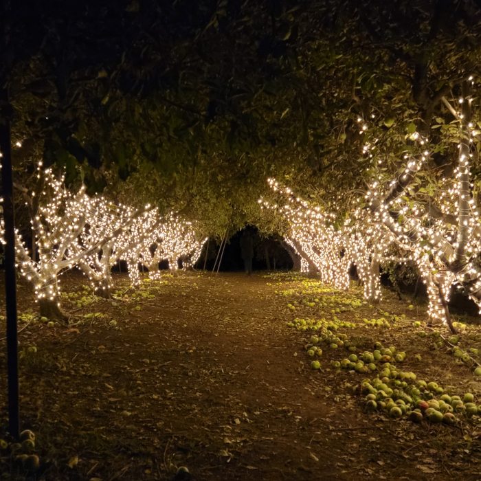 20221119_175940 Riley's Farm Riley's Farm